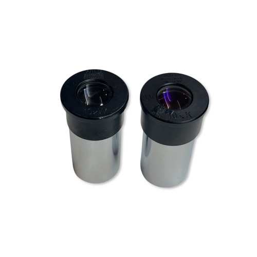 Coppia oculari microscopio