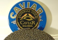 125g (1Kg / 1432 €) Imperial