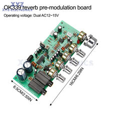 PT2399 Scheda Amplificatore Audio Microfono OK339 Karaoke Reverb Preamplificatore
