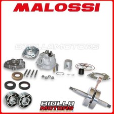 MAXIKIT MALOSSI MHR TEAM D.40