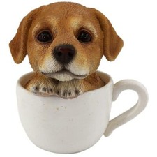 CANE LABRADOR IN TAZZA CM.9