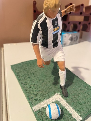 Playwell stars pavel nedved - stars,