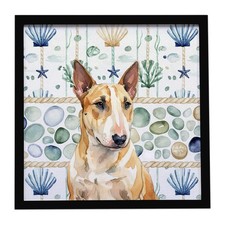 Miniature Bull Terrier Coastal