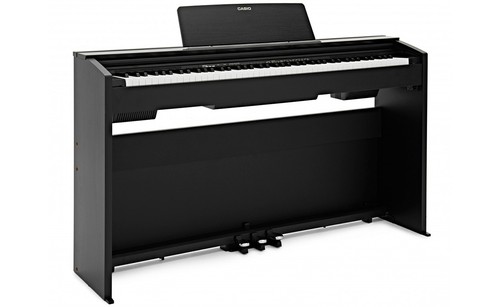 Casio 870 black - px-870,