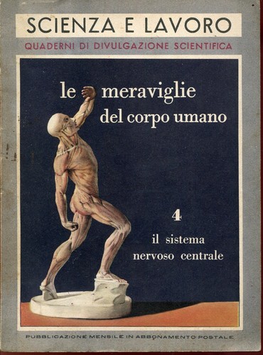 Meraviglie del corpo - le,