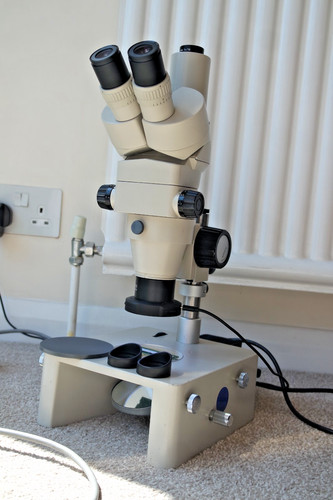Nikon smz trinoculare - smz-2t,