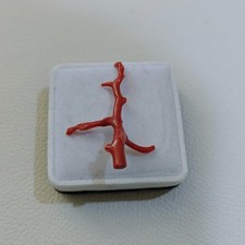 Ramo di corallo rosso