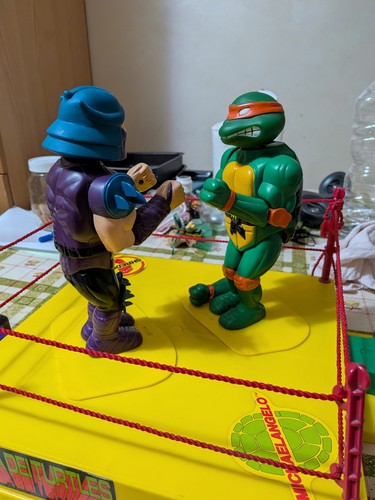 Sfida dei turtles gioco - turtles,