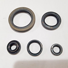 Set paraoli motore suzuki - paraoli,