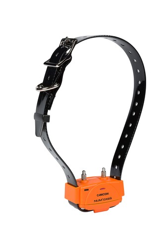 Collier seul dressage - seul, pour