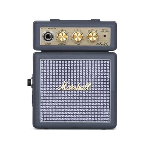 Amplificatore per micro