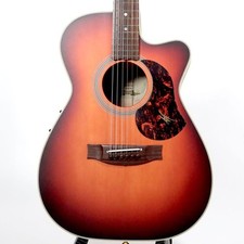 Chitarra elettrica acustica