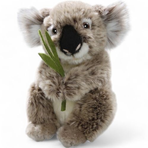 Orsetto koala con eucalipto