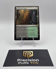 MTG - Overgrown Tomb – ECL