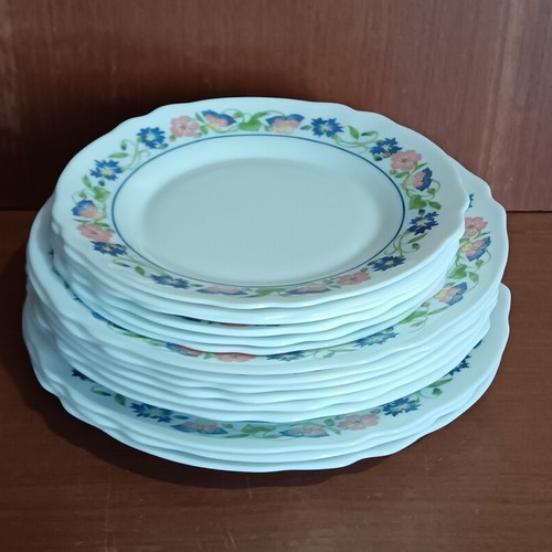 Assiettes arcopal décor - assiettes,