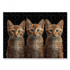 ✅PUZZLE 30x40 GATTI 192