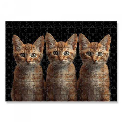 Puzzle 30x40 gatti - ✅puzzle,