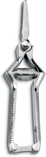 Masticatore inox curvo - masticatore,