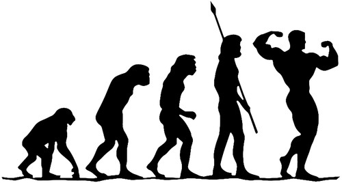 Evolution fitness - 02, –