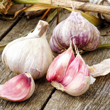 210 SEMI MIX DI AGLIO -3