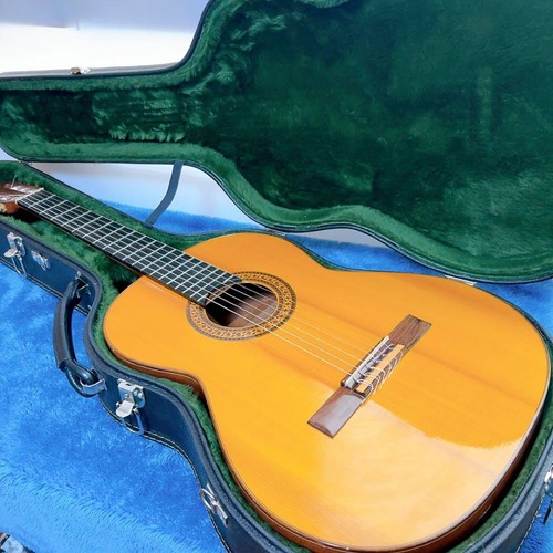 Chitarra acustica classica - acustica,