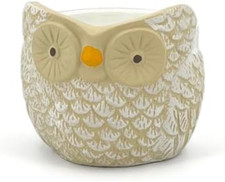 Set 4 Vasetti Gufo Decorati a