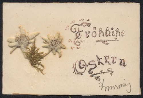 Cartolina fiori secchi