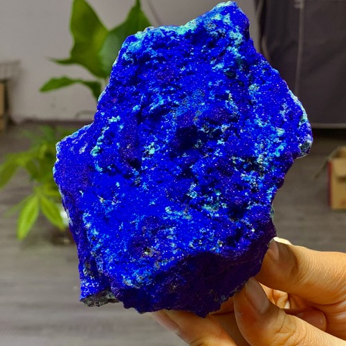 492g migliori esemplari - migliori, di