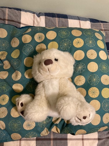 Peluche orso bianco alto - orso,