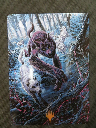 Innistrad caccia di - innistrad:,