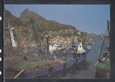 Cartolina Cetara Panorama Visto dal Porto QD114