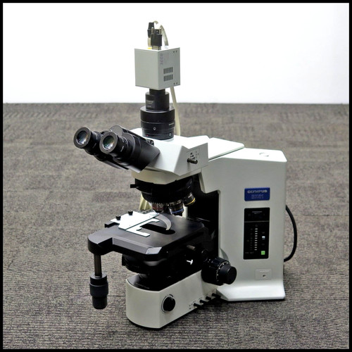 Testato olympus bx51 - testato,