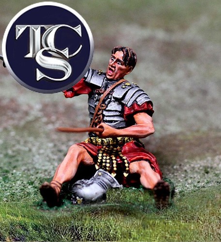 Vetrina collezione roma - collezione,