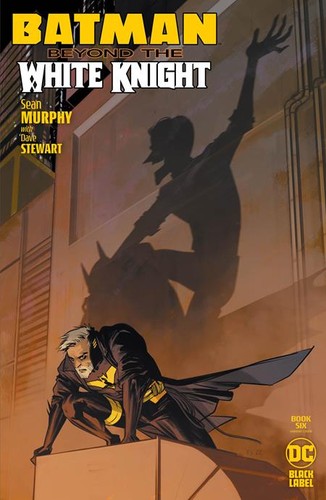 Batman beyond the white - the,