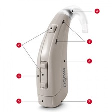 New S ignia Lotus Prompt