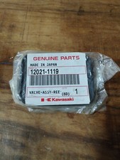 Kawasaki Jet Sky E ZRX  Valvola Lamellare Valve Assy Reed Cod 12021-1119  sc34