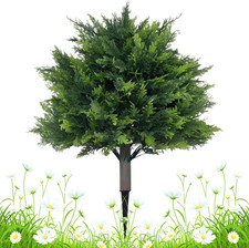 Decorazioni in Cedro