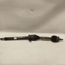 A1693603272 Semialbero ant