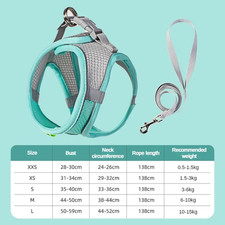 Accessori per Cani per Gatti