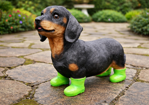 Cane stivali salsiccia - cane,