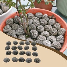 20 pezzi di pietre per piante