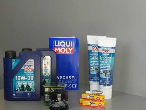 Mercury efi con olio - mercury, 30