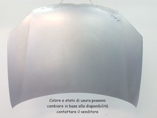 COFANO ANTERIORE CODICE