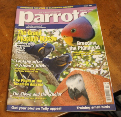 Parrots 145 february 2010 - ~,