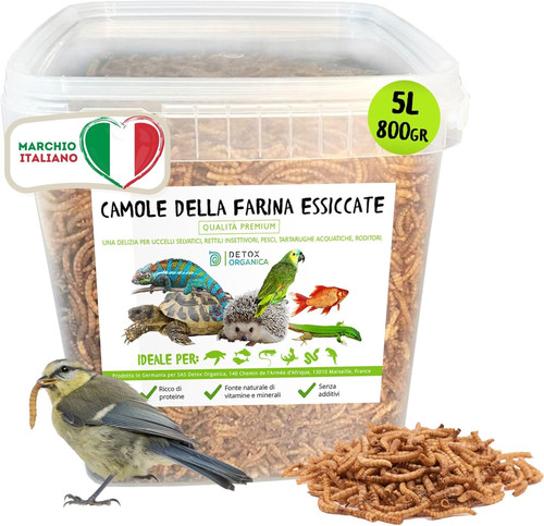 Camole della farina - della,