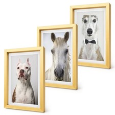 Set quadro pronto appendere - quadro, da