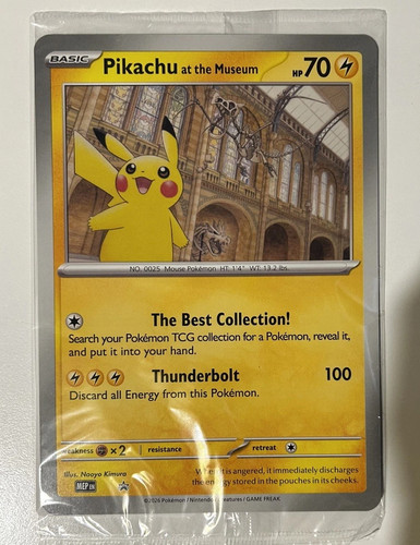Pikachu the museum jumbo - at,