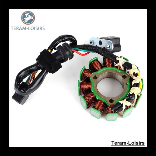 Stator pour suzuki - pour, rmz