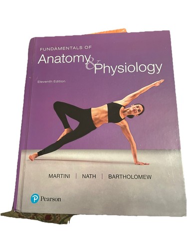 Fundamentals anatomy - of, &