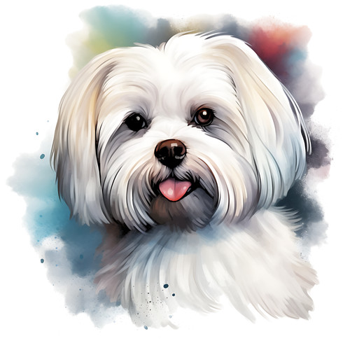 Adesivo auto maltese - , cani